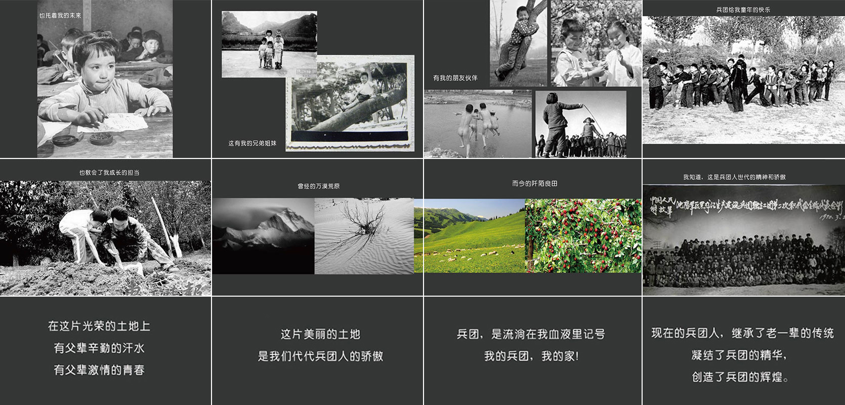 兵團(tuán)紅品牌全案