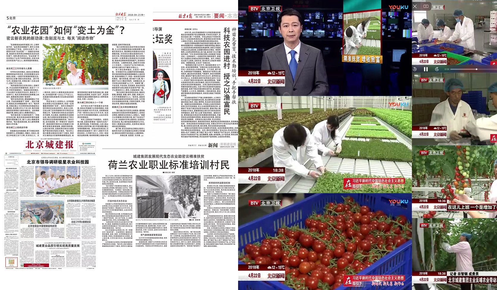 極星農(nóng)業(yè)品牌全案
